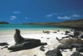 /album/fotogaleria-fotogaleria/galapagos1-jpg/
